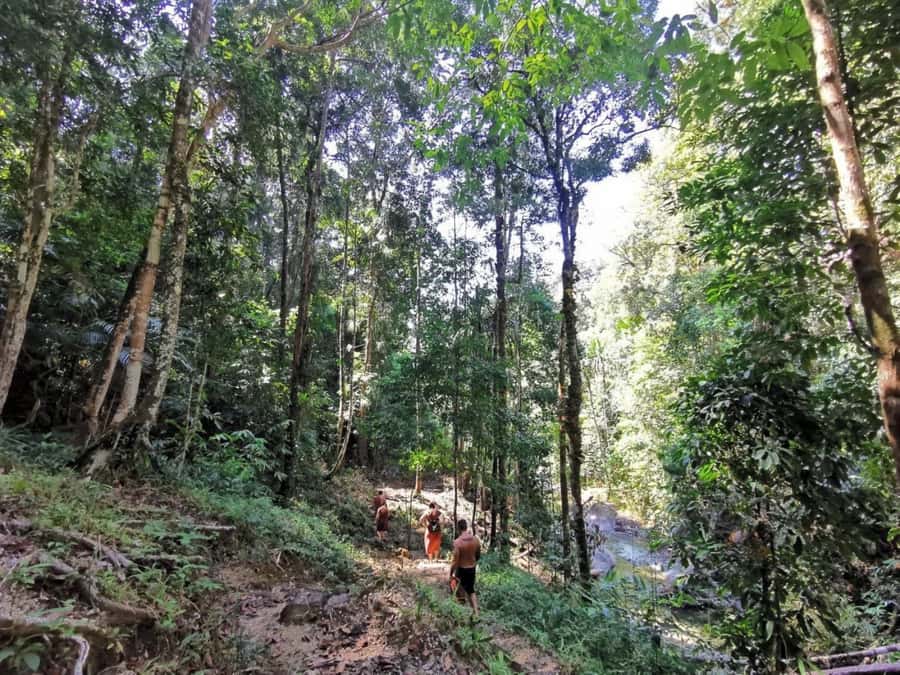 Phuket: Monkey Cave, Water Rafting, Zipline with ATV Option - Should you add the 30-minute ATV ride?