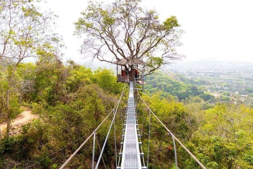 Phuket: Zipline Flying Higher than a Hawk with ATV Option - What the zipline ride feels like