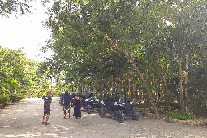 Playa del Carmen Buggy Tour with Cenote Swim and Mayan Village Visit - The jungle ride: dust, speed, and mud