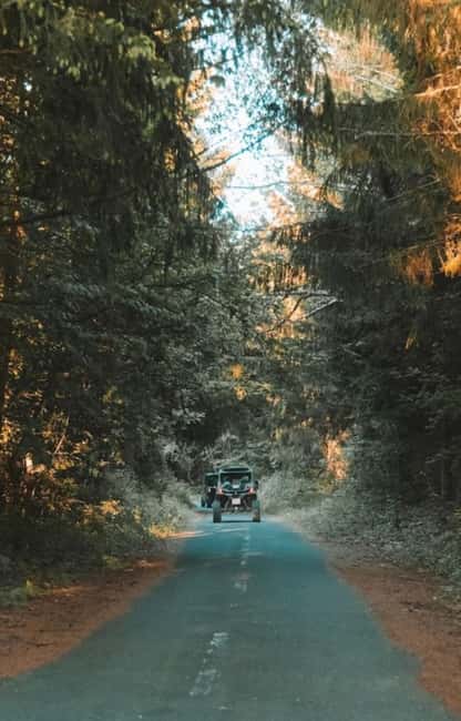 Plitvice Lakes National Park - Inspiration Buggy Tour - The forest road to Korana Selo