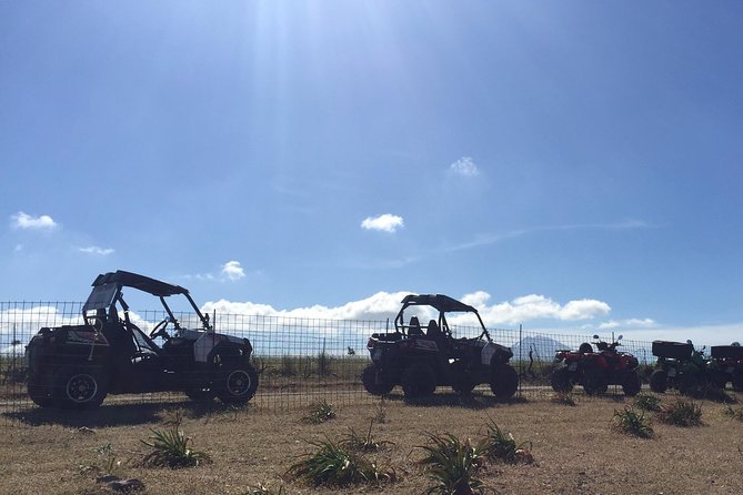Polaris Buggy 4-Hour Safari from Rethymno Town - Gidospito and Potami Dam Lake slow things down