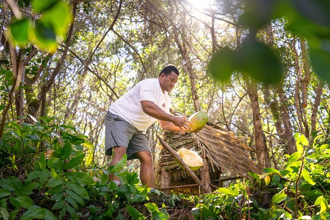 Polynesian Cultural ATV Tour in Kona - A Kona ATV ride with a cultural twist