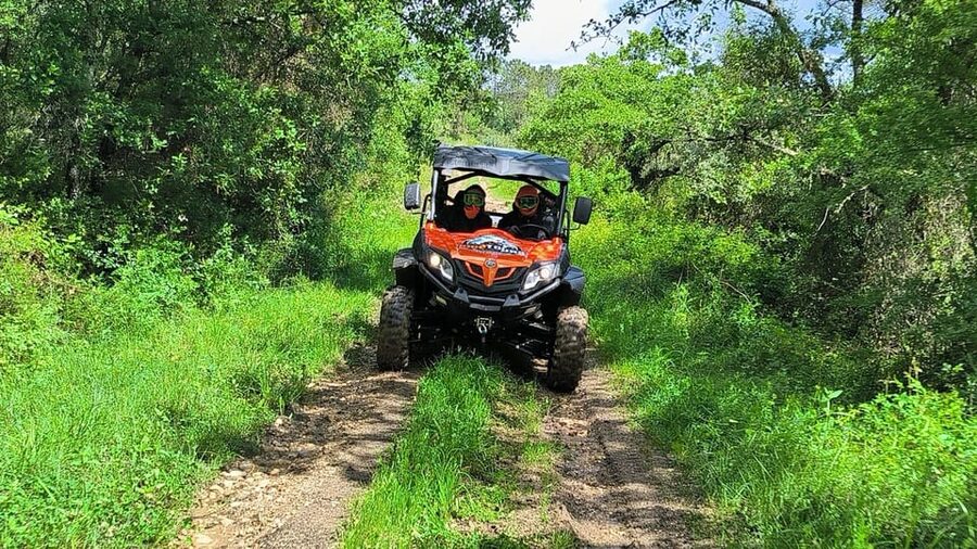 Pombal- Sicó: 60 minutes OFF-ROAD Buggy Ride - Price, group size, and the value question