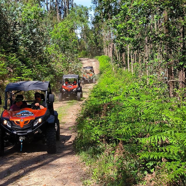 Pombal- Sicó: 60 minutes OFF-ROAD Buggy Ride - Winding tracks and Sicó mountain views