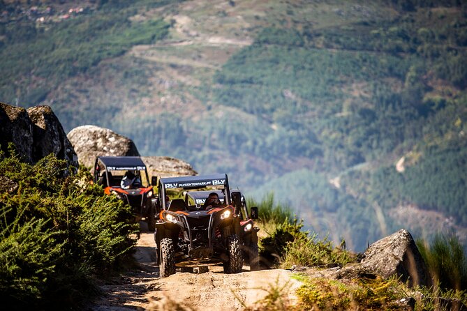 Ponte de Lima Guided Buggy Tour - Taking the wheel above Ponte de Lima