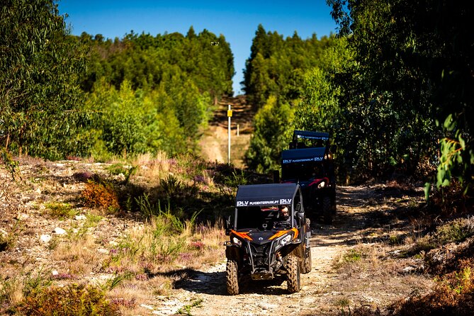 Ponte de Lima Guided Buggy Tour - Dust, goggles, and what to wear