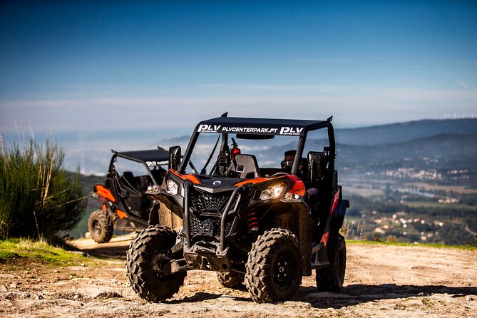Ponte de Lima Guided Buggy Tour - Who will enjoy this ride most
