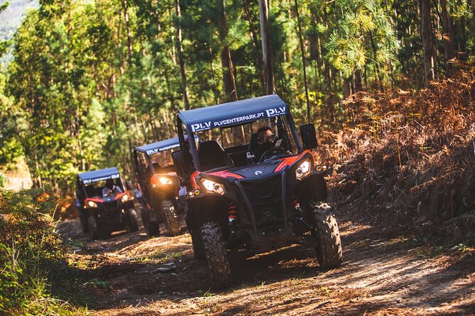 Ponte de Lima Guided Buggy Tour - My call: book it if you want dirt with your views