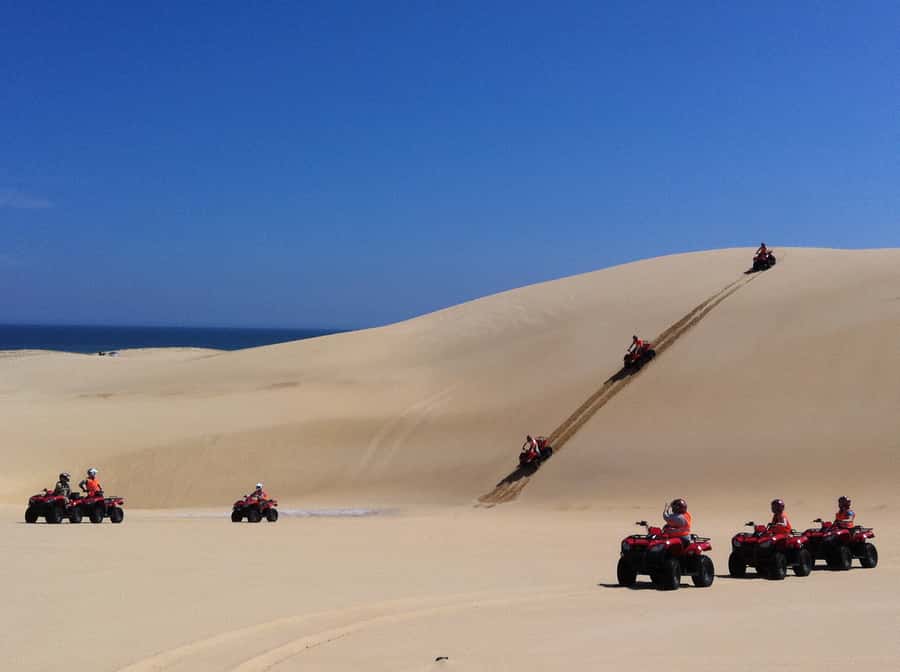Port Stephens: Worimi Sand Dune Quad Bike Adventure - Key points at a glance