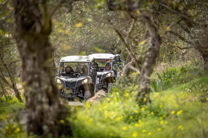 Porto: Dirt and Dust Tour by Oporto Buggy - What the One-Hour Route Is Really Like