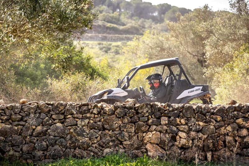 Porto: Dirt and Dust Tour by Oporto Buggy - Should You Book the Dirt and Dust Tour?