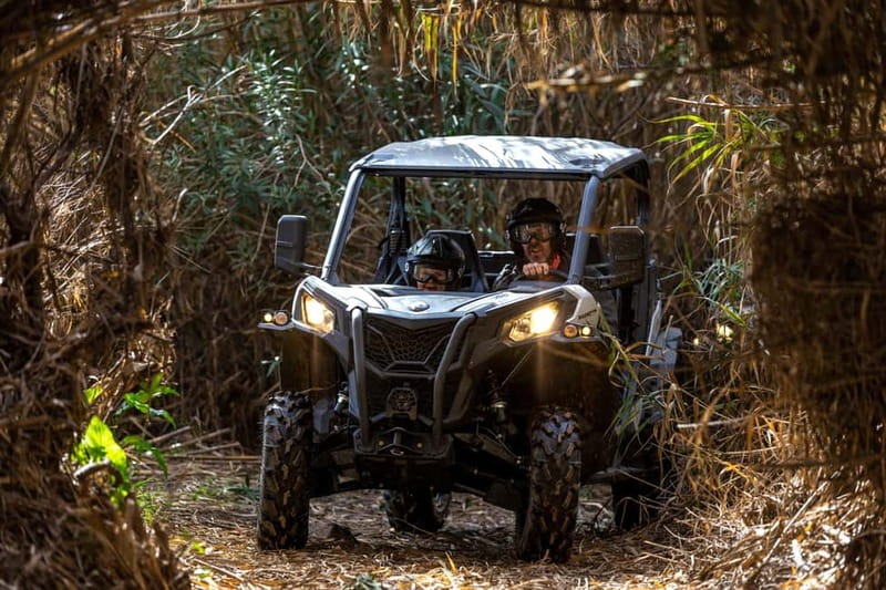 Porto: Dirt and Dust Tour by Oporto Buggy - Driving the Two-Seat Buggy