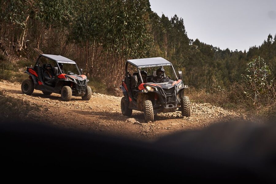 Porto: Dirt and Dust Tour by Oporto Buggy - Who Will Enjoy This Most