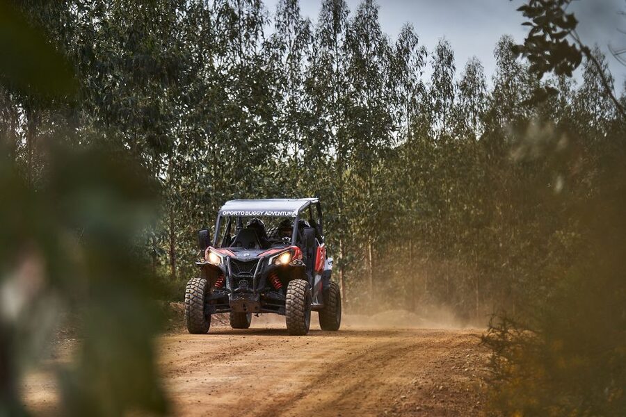 Porto: Dirt and Dust Tour by Oporto Buggy - Guide Languages and the Feel of the Experience