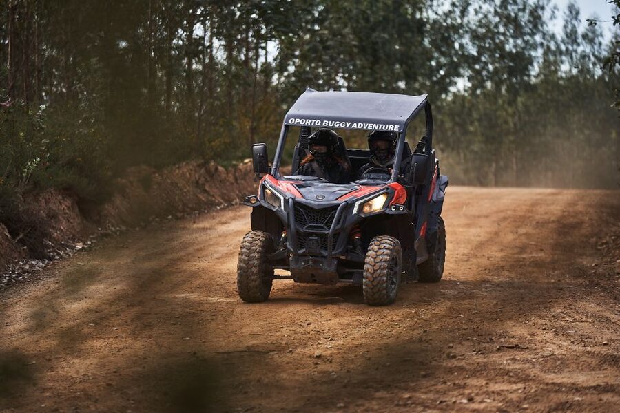 Porto: Dirt and Dust Tour by Oporto Buggy - Booking Details That Matter