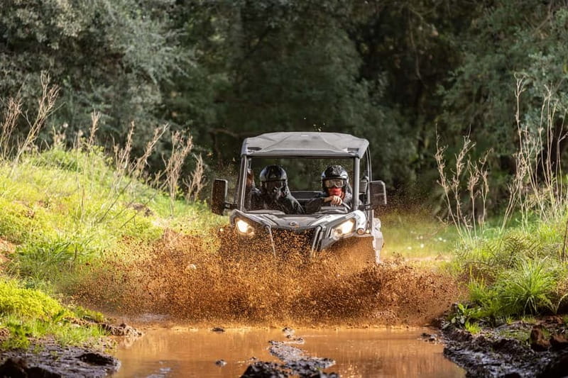 Porto: Dirt and Dust Tour by Oporto Buggy - Rough Trails in Parque Natural das Serras do Porto
