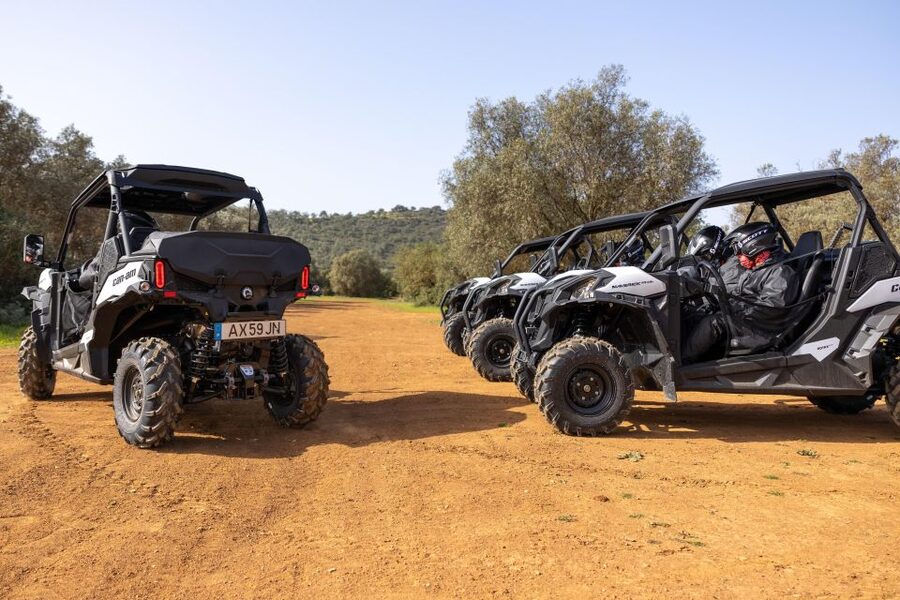 Porto Santo: 180 Minutes Off-Road Buggy Tour - What the guides add to the ride