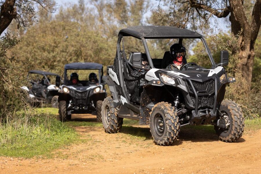Porto Santo: 180 Minutes Off-Road Buggy Tour - The Dunes of Porto Santo