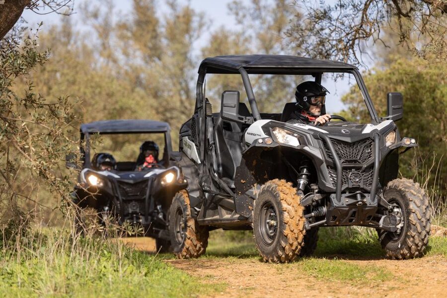 Porto Santo: 180 Minutes Off-Road Buggy Tour - Miradouro das Flores and the final views