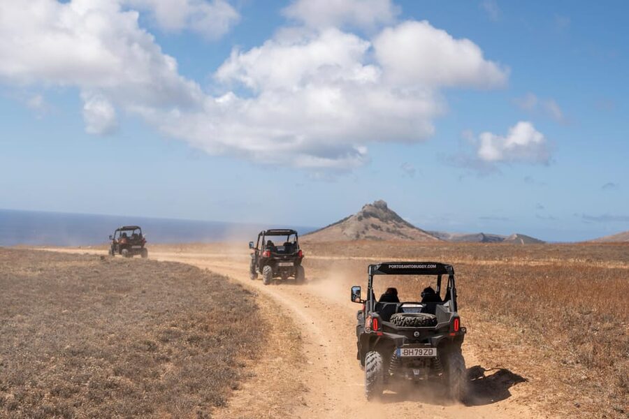 Porto Santo: 90 Minutes Off-Road Buggy Tour - Who should book this buggy tour?