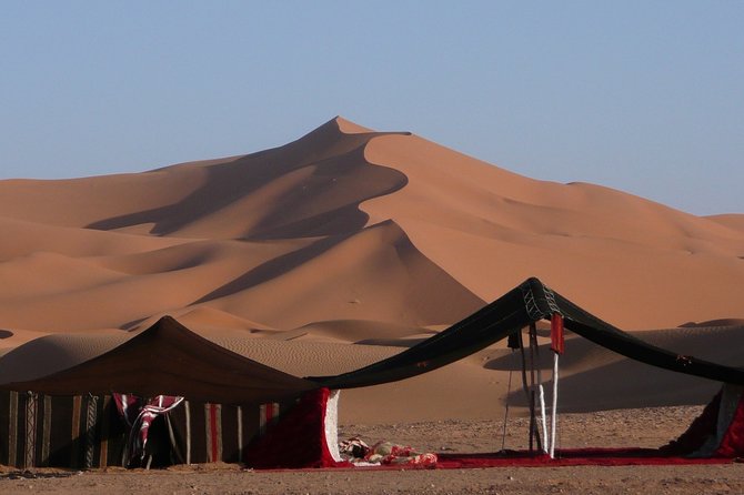 Premium Full-Day Safari, Dune Bash, Camel Ride and BBQ Meal in Desert Camp - Quick takeaways