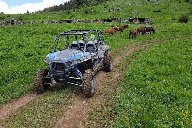 Private 1-Hour Quad or Buggy Safari in Borovets - The winter switch to snowmobiles