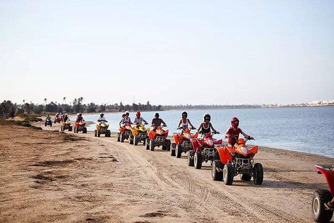 Private 3h00 quad ride on the island of Djerba - Key points at a glance