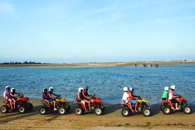 Private 3h00 quad ride on the island of Djerba - From Midoun to Djerba’s olive groves