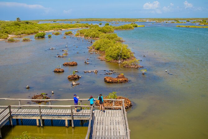 Private Buggy Tour and Punta Sur Park: All-Inclusive - What the private format really changes