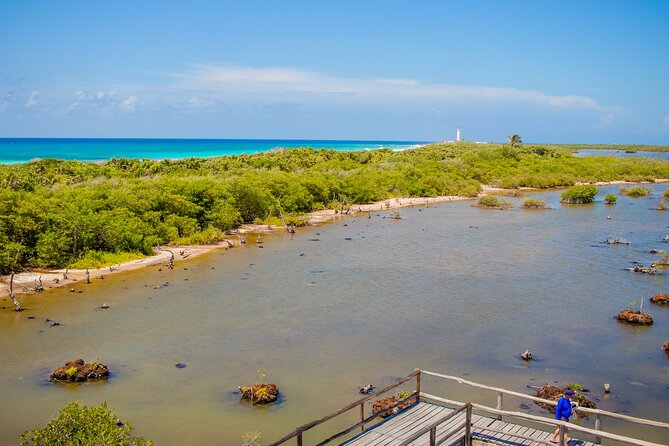 Private Buggy Tour and Punta Sur Park: All-Inclusive - The buggy question deserves serious attention