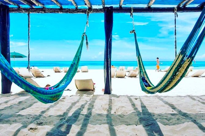 Private Dune Buggy & Snorkel Tour: All-Inclusive - The biggest question: what vehicle will you get?
