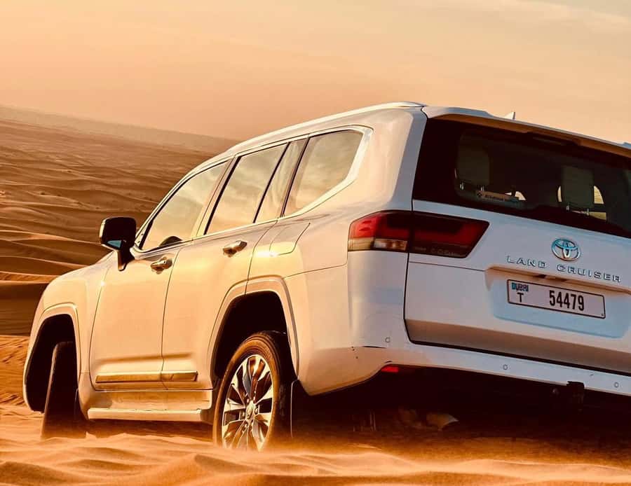 Private Gentle Sands Desert Experience Without Dune Bashing - From Doha streets to open desert