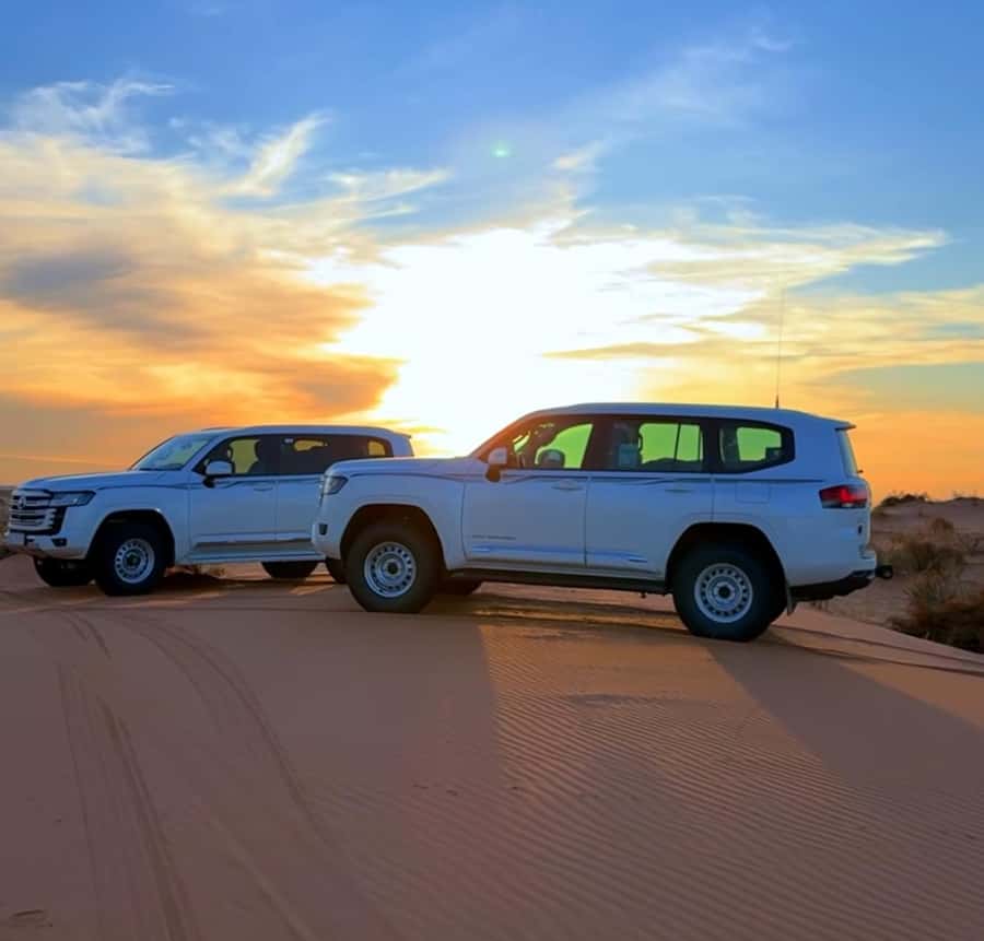 Private Gentle Sands Desert Experience Without Dune Bashing - Falconry and a living desert tradition