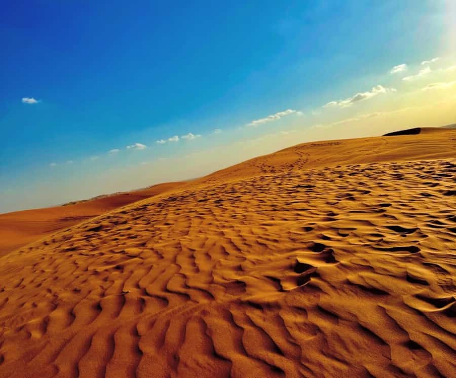 Private Gentle Sands Desert Experience Without Dune Bashing - Sandboarding and the camel option