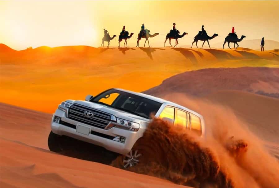 Private Gentle Sands Desert Experience Without Dune Bashing - What the $16 price really buys
