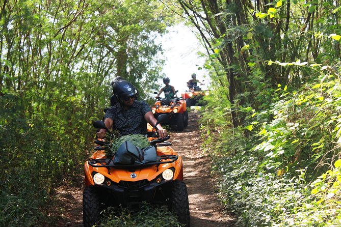 Private Island Tour by ATV / QUAD - Local stories from Manu, Caleb, and the island