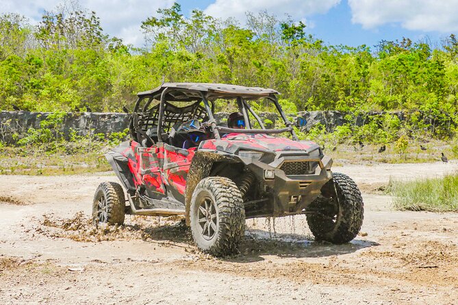 Private Jeep and 4x4 Polaris RZR Tour with Mexican Lunch - Key points to know before you book