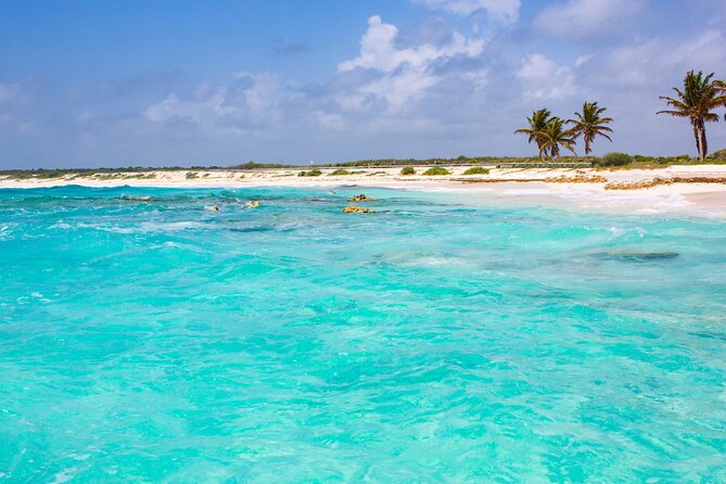 Private Jeep and 4x4 Polaris RZR Tour with Mexican Lunch - The Polaris RZR course at Sabores de Cozumel