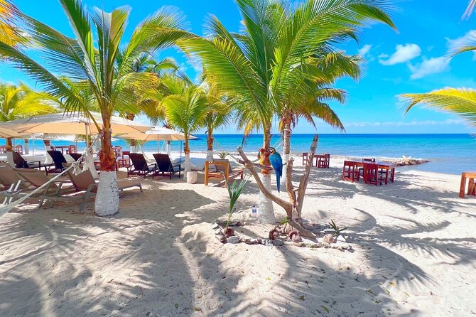 Private Jeep or Buggy Tour Snorkeling Maya Park and Tacos - Guides can shape the whole day