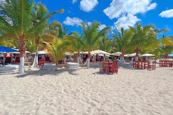 Private Jeep or Buggy Tour Snorkeling Maya Park and Tacos - Small details that make the day easier