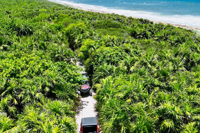 Private Jeep & Polaris RZR: San Gervasio Mayan Ruins & Snorkeling - A five-hour Cozumel outing with several distinct faces