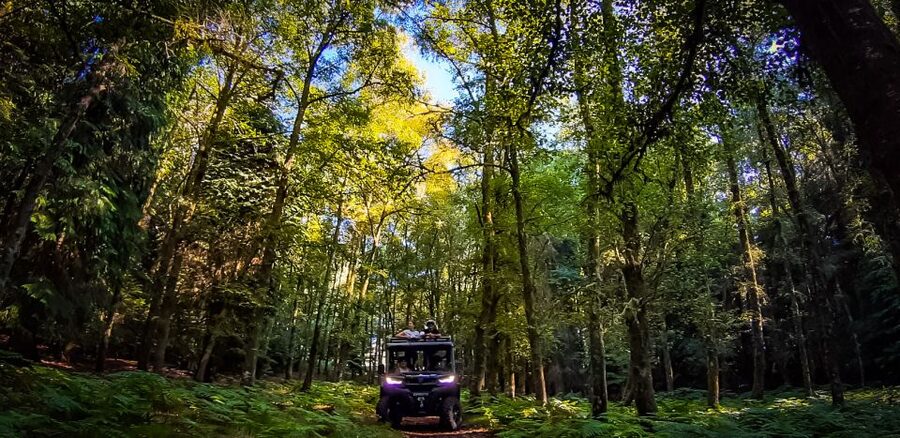 Prozelo: Buggy Tour - Booking details that can save you trouble