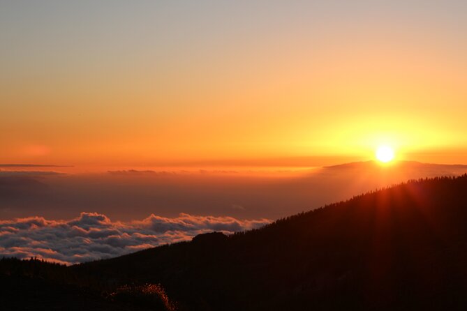 Puerto de la Cruz: Buggy Teide Sunset National Park - What the buggy equipment means for comfort