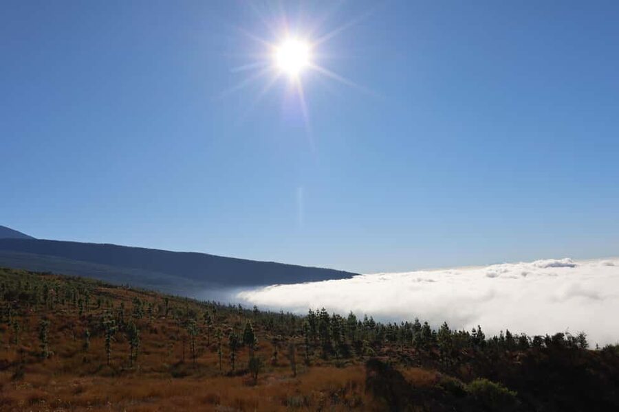 Puerto de la Cruz: Quad Teide National Park - What the included extras are worth