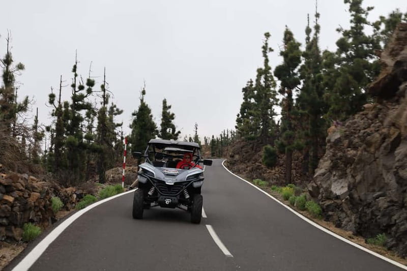 Puerto de la Cruz: Teide National Park Buggy Tour - Driving above the Sea of Clouds