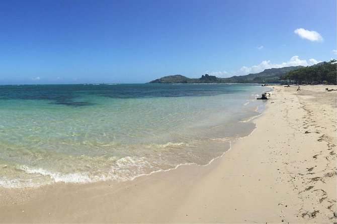 Puerto Plata Shore Excursion: ATV adventure for Amber Cove & Taino Bay Passenger - Key points at a glance