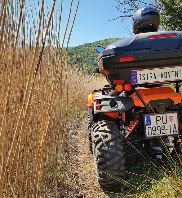 Pula and Rovinj: 1, 2, 2.5 or 4-Hour Istra Quad Safari - Rovinj two-hour route to Turnina Castle
