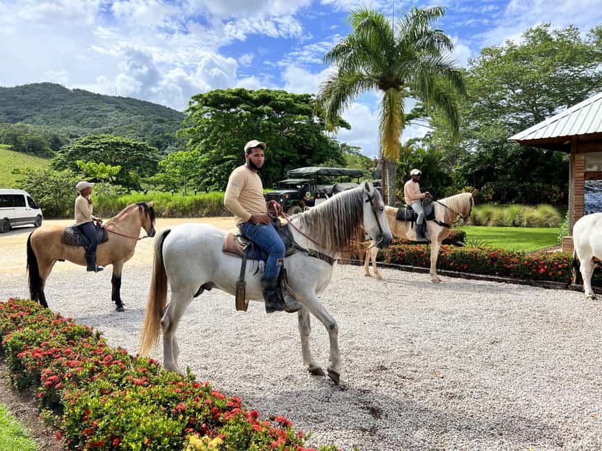 Punta Cana: Buggy and Zipline Adventure at La Hacienda - Getting there from Punta Cana