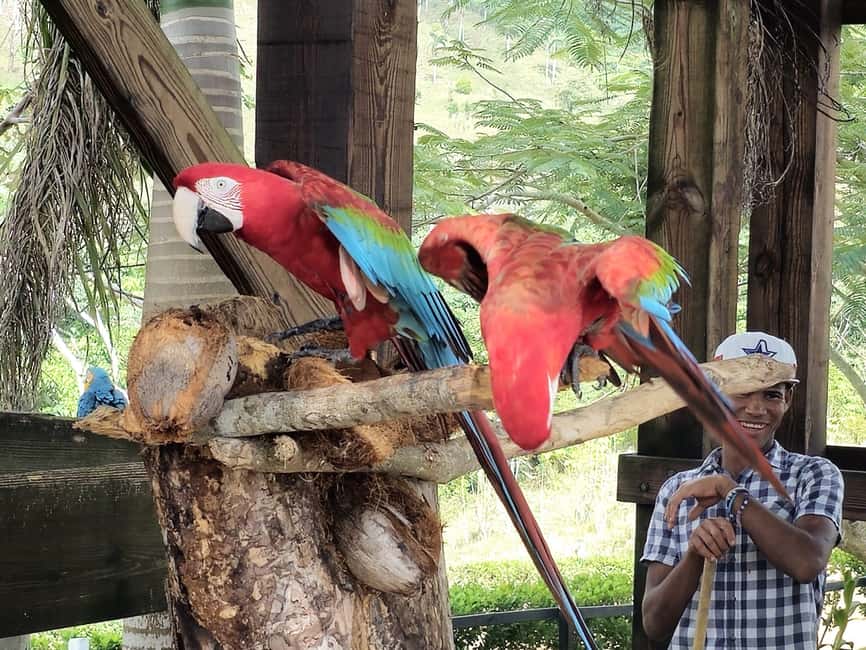 Punta Cana: Buggy and Zipline Adventure at La Hacienda - The 2-kilometer zipline is the headline act