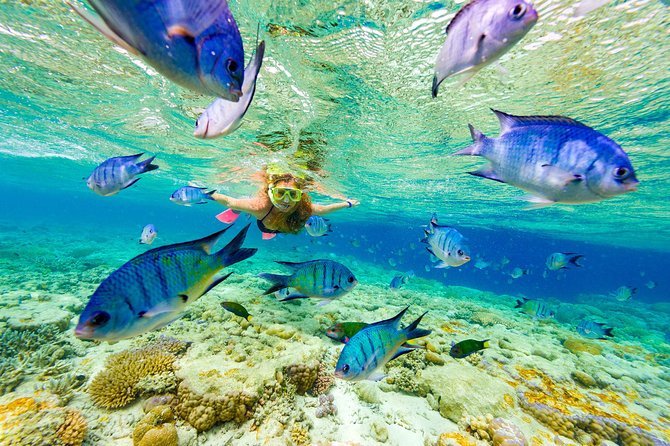 Punta Cana Snorkeling Cruise and Dune buggy Combo Adventure - Key things to know before booking